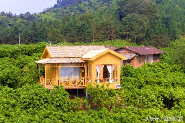 住进园林里,睡在湖水边!在所有网红民宿里遇见韶关初夏最美风景