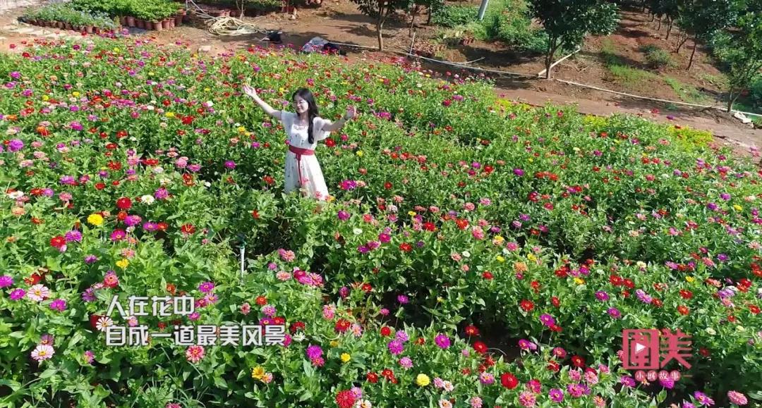 花海、美食、动物园…来韶关这些地方,感受闲适静谧的度假时光